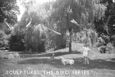 Sculptures: The Bird Series