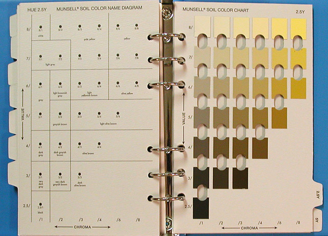 Salmofan Color Chart