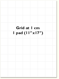 Grid at 1 cm - 1 large pad (11